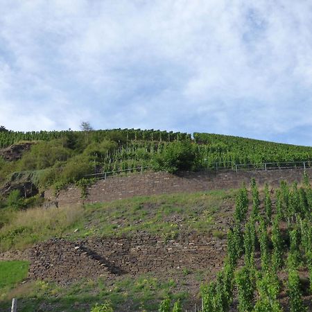 Relaxen Im Weindorf Mayschoss Fewo 4 Ngoại thất bức ảnh